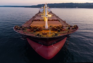 氨作为船舶燃料对生态的影响